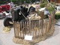 IMG_6881
