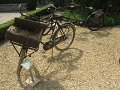 IMG_6888