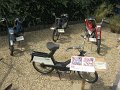 IMG_6890