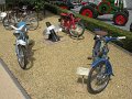 IMG_6892