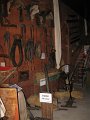 IMG_6921
