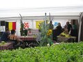 IMG_6936