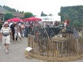 IMG_7086