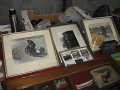 IMG_5924