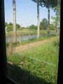 IMG_3575