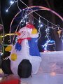 IMG_6340