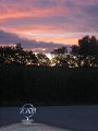 IMG_1686