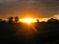 IMG_1688
