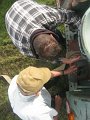 IMG_1744