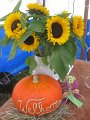 IMG_1765