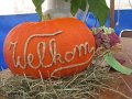 IMG_1766
