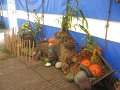 IMG_1767