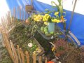 IMG_1768