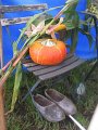 IMG_1769