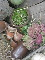 IMG_1771