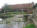IMG_1791