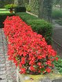 IMG_1804