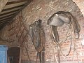 IMG_1813