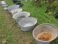 IMG_1864