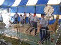 IMG_1925