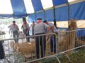 IMG_1927