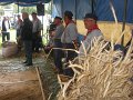 IMG_1939