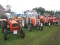 IMG_1984