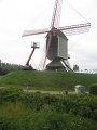 IMG_2010