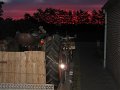 IMG_3693