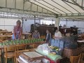 IMG_0519