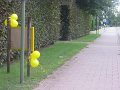 IMG_0683