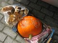 IMG_0737