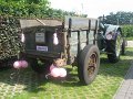 IMG_0396