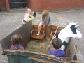 IMG_0437