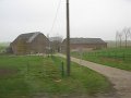 IMG_4795