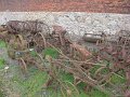 IMG_4985
