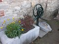 IMG_5051