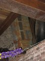 IMG_5071