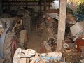 IMG_5155