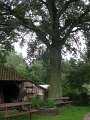 IMG_8512