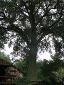 IMG_8513