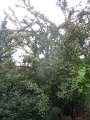 IMG_8533