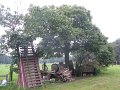 IMG_8558