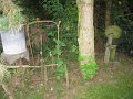 IMG_8561