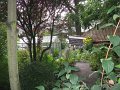IMG_8564