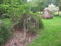 IMG_8565