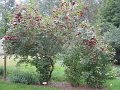 IMG_8566