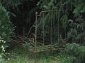 IMG_8568