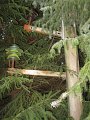 IMG_8569