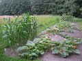 IMG_8570
